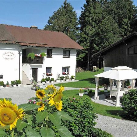Ferienwohnung Hopfinger Hohenau Exteriör bild